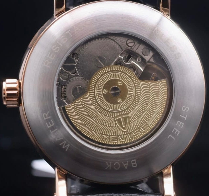 TEVISE Herren Automatik Armband Uhr Blau Schwarz Farben Lederband Glasboden 42mm2