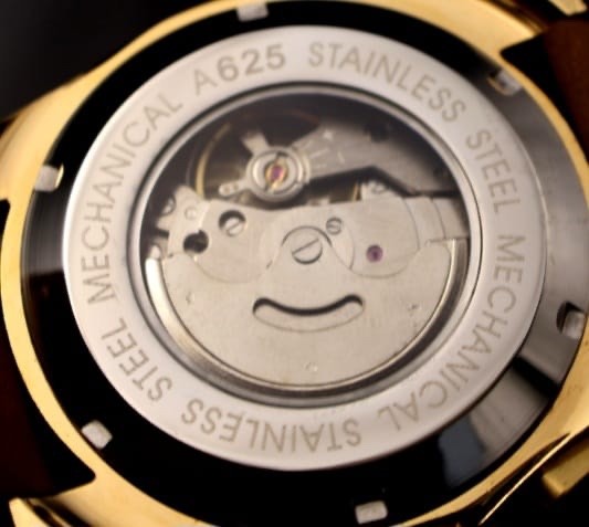 Mega Forsining Herren Männer Automatik Uhr Gold Barun Farben mit Lederarmband2