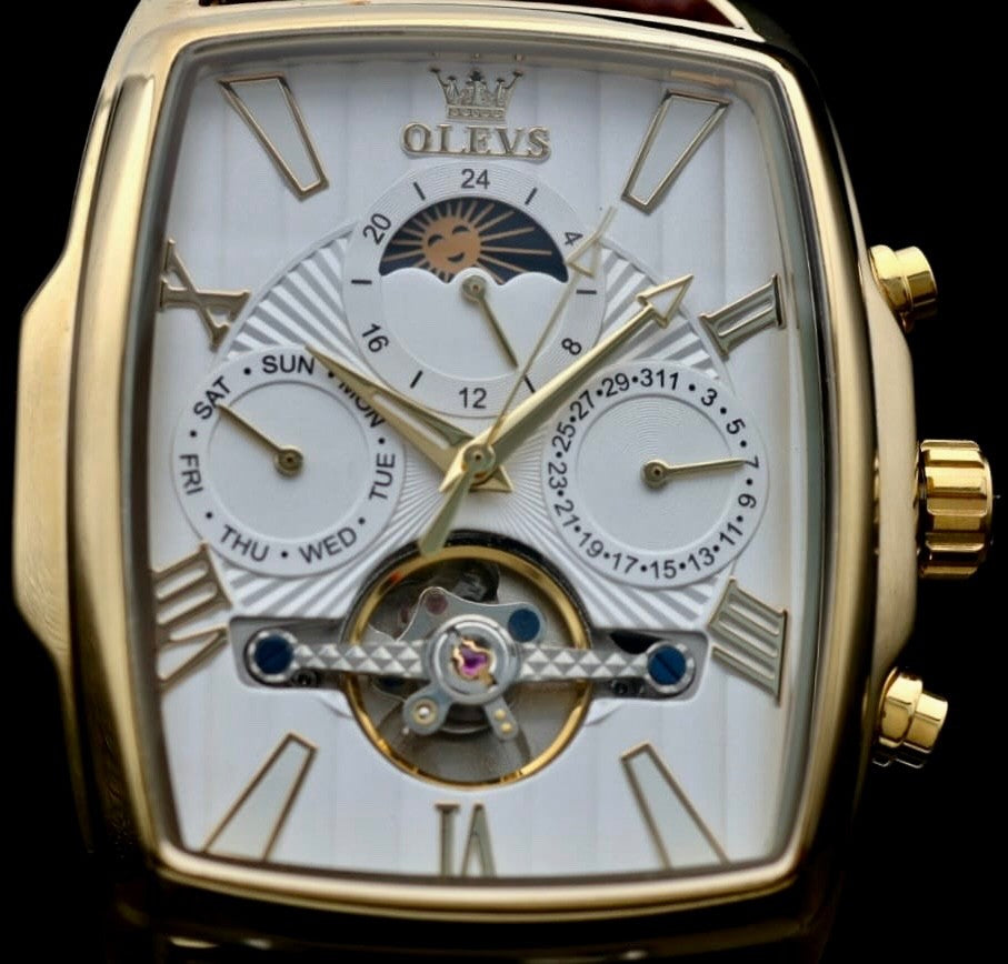 OLEVS  Automatik Herren Männer Armband Uhr Automatikuhr Gold Braun Farben Neu2