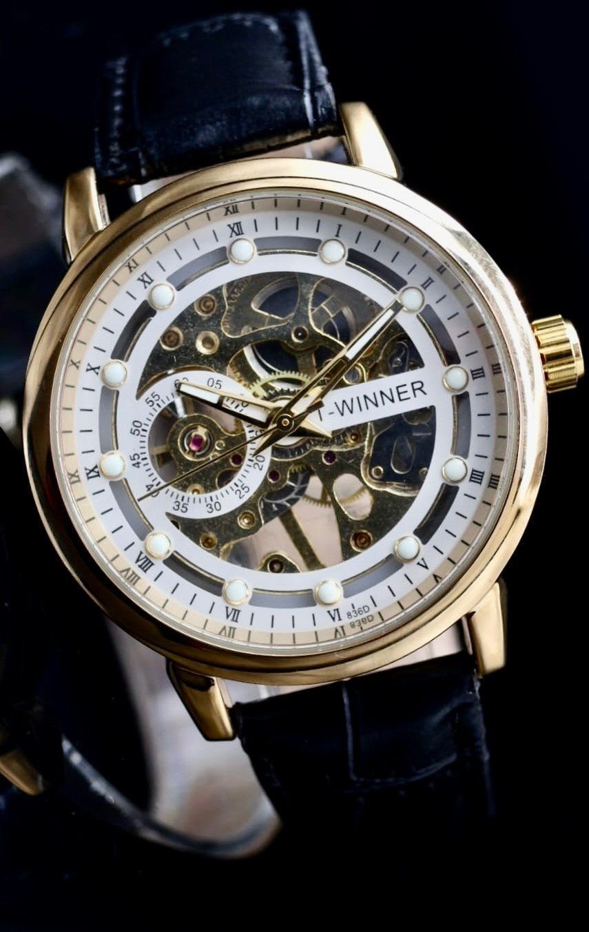 T-Winner Herren Automatik Uhr Herrenuhr Mechanisch Gold Schwarz Farben Leder0